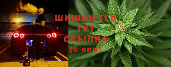 скорость Богородицк