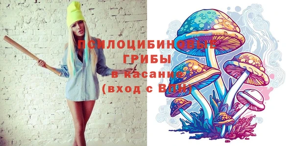 кокаин Богданович
